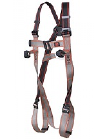 Apraišas Pioneer™ 2-Point QR Harness