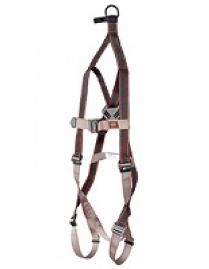 Apraišas Pioneer™ 2-Point Rescue Harness